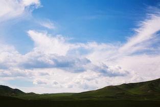 牛群背景配乐,唤醒田野诗意