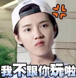 鹿晗生气的表情包